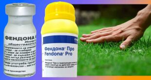 Мнения: Фендона или Айкън? Откъде да купя Фендона Про. Карантинен срок и инструкция за препарат против бълхи, дървеници и др. За домашни любимци.