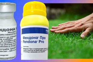 Мнения: Фендона или Айкън? Откъде да купя Фендона Про. Карантинен срок и инструкция за препарат против бълхи, дървеници и др. За домашни любимци.