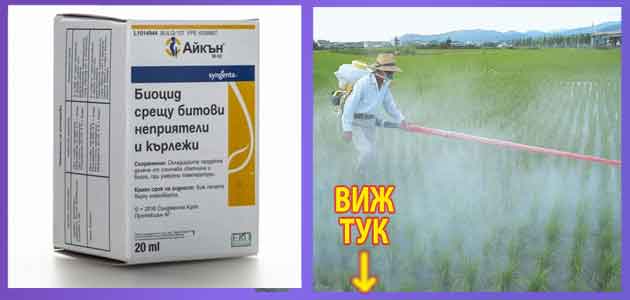 Айкън или Фендона: Мнения, откъде да купя 3 Айкън или Фендона Мнения откъде да купя 3