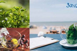 Билковите чайове отдавна са ценени заради техните