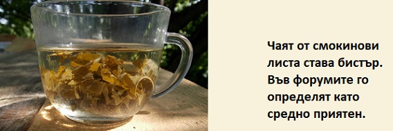 Чай от листа на смокиня лечение 01